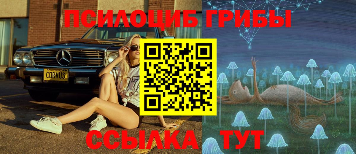 Галлюциногенные грибы Psilocybe  Вход с VPN  Анапа 